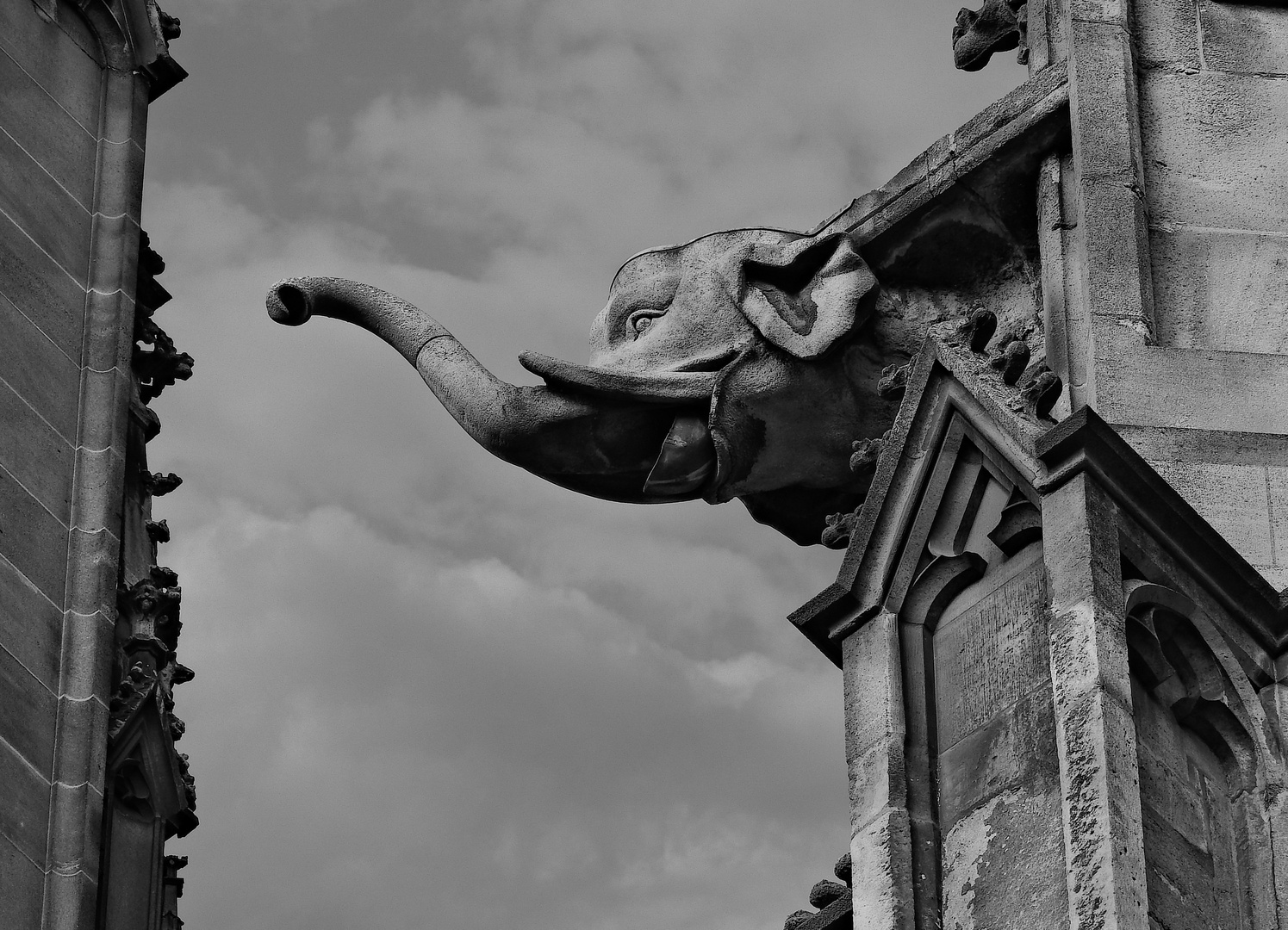 Wasserspeier am Ulmer Münster