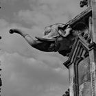 Wasserspeier am Ulmer Münster