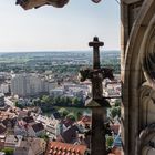 Wasserspeier am Ulmer Münster