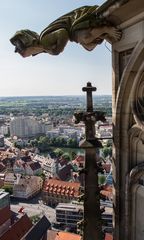 Wasserspeier am Ulmer Münster