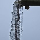 Wasserspeier im Februar