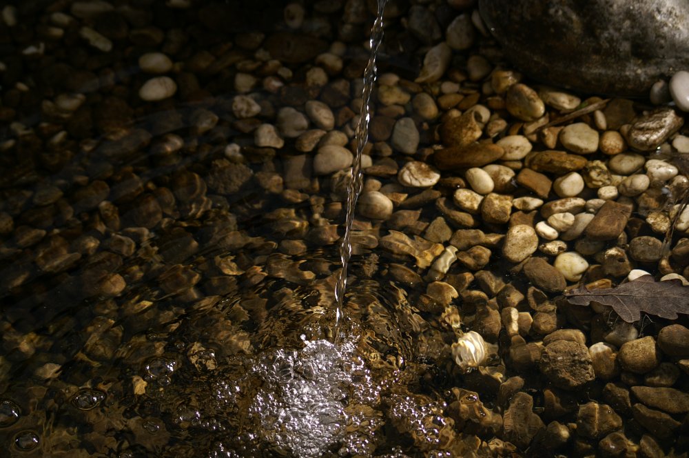 Wasserspeier im Gartenteich