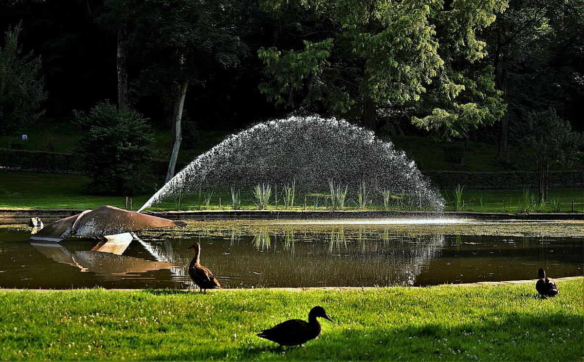 ... Wasserspeier im Hennefer Kurpark ...