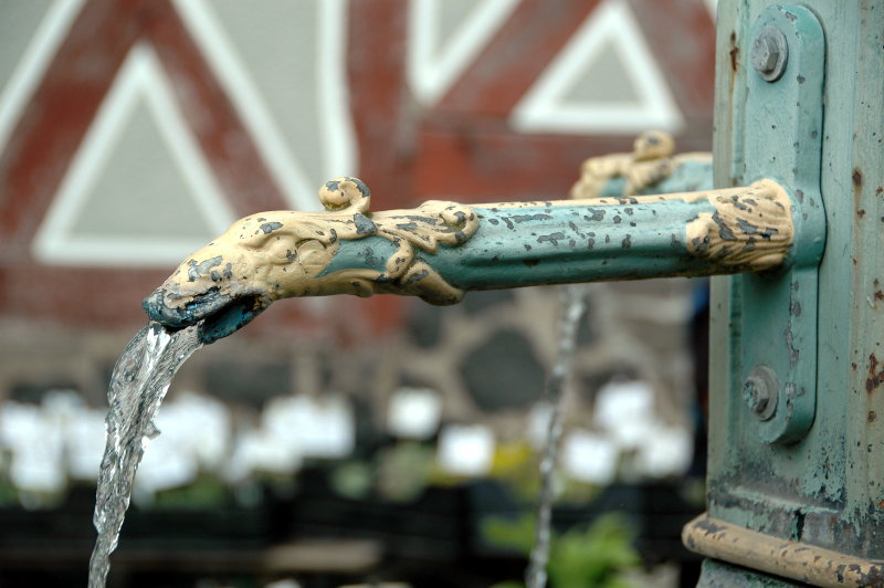 Wasserspeier im Hessenpark