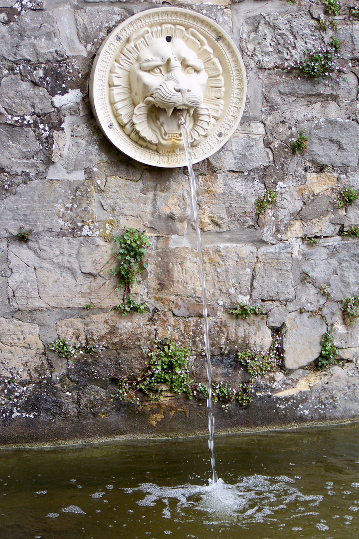 Wasserspeier im Park Sanssouci - Potsdam