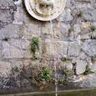 Wasserspeier im Park Sanssouci - Potsdam