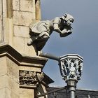 Wasserspeierin am Erfurter Rathaus