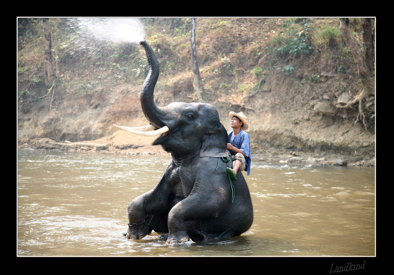 Wasserspender