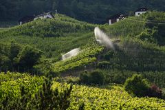 Wasserspender bei Lana/Südtirol