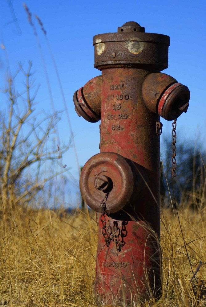 Wasserspender