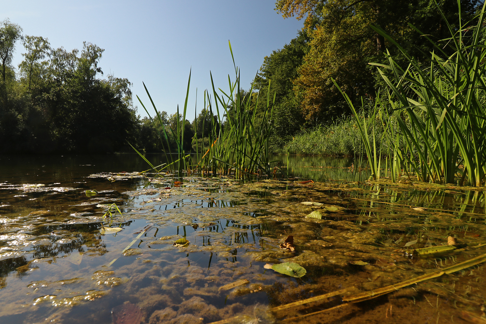 Wasserspiegel