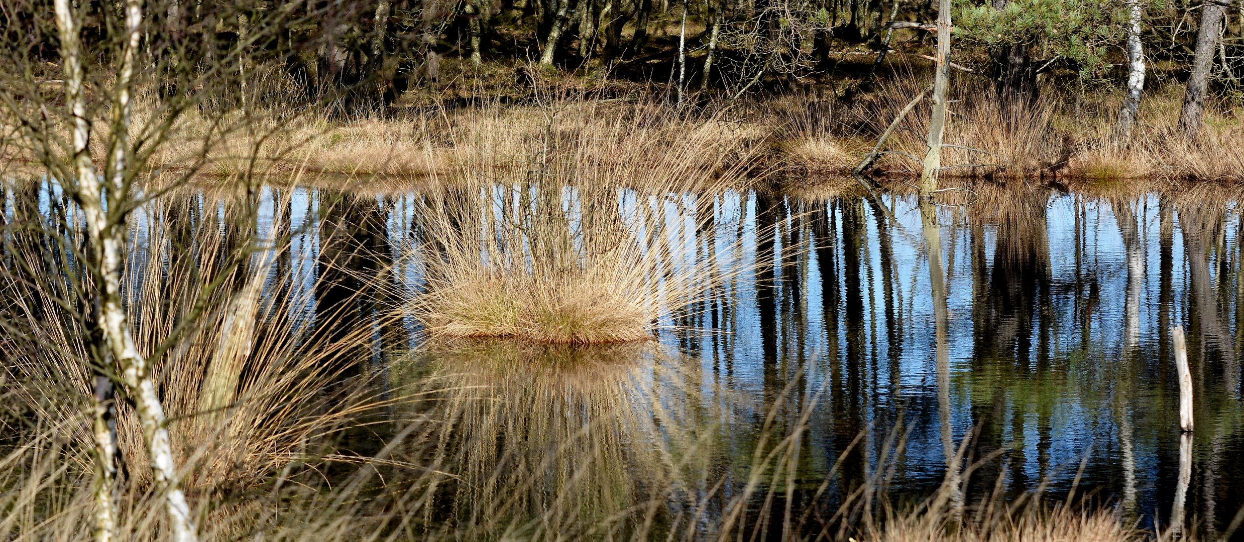 Wasserspiegel