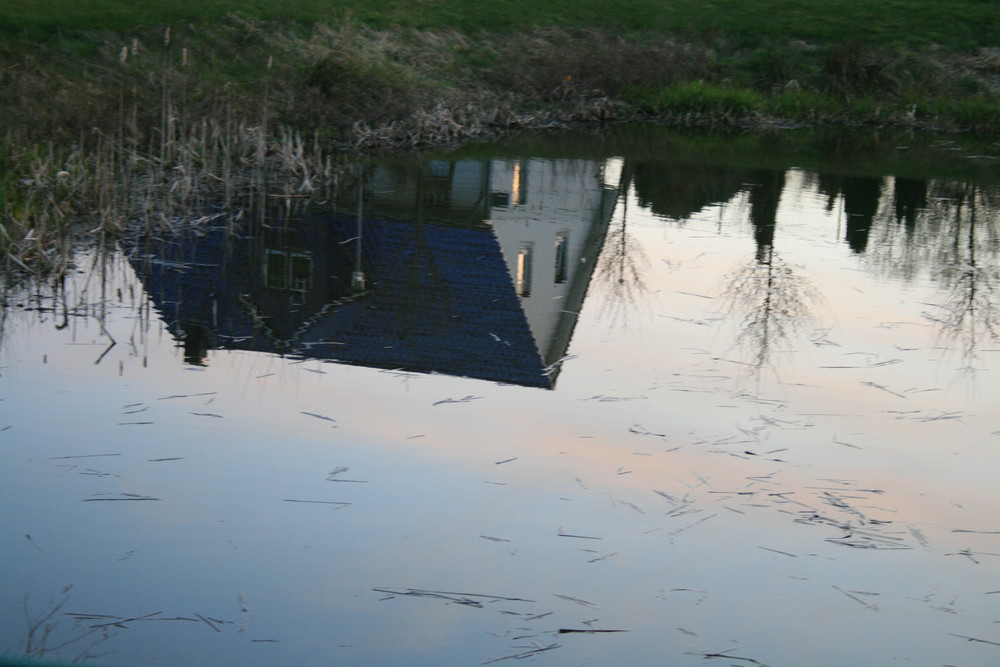 wasserspiegel