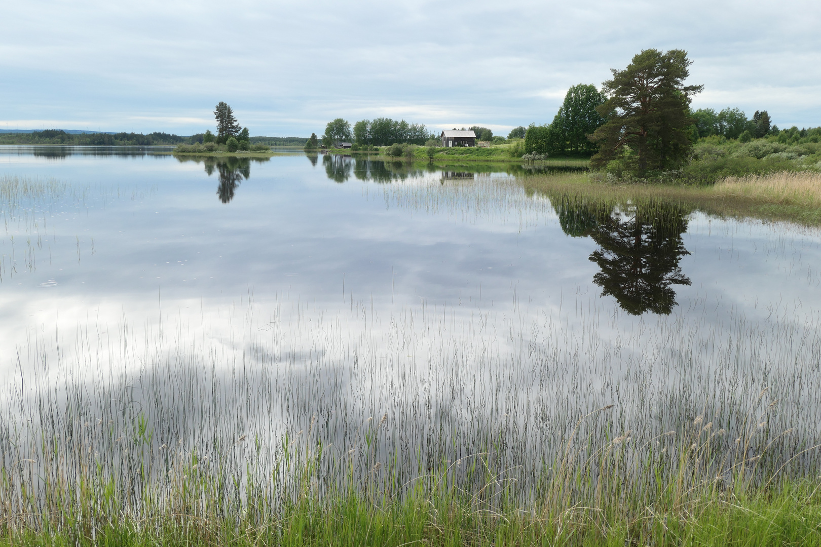 Wasserspiegel