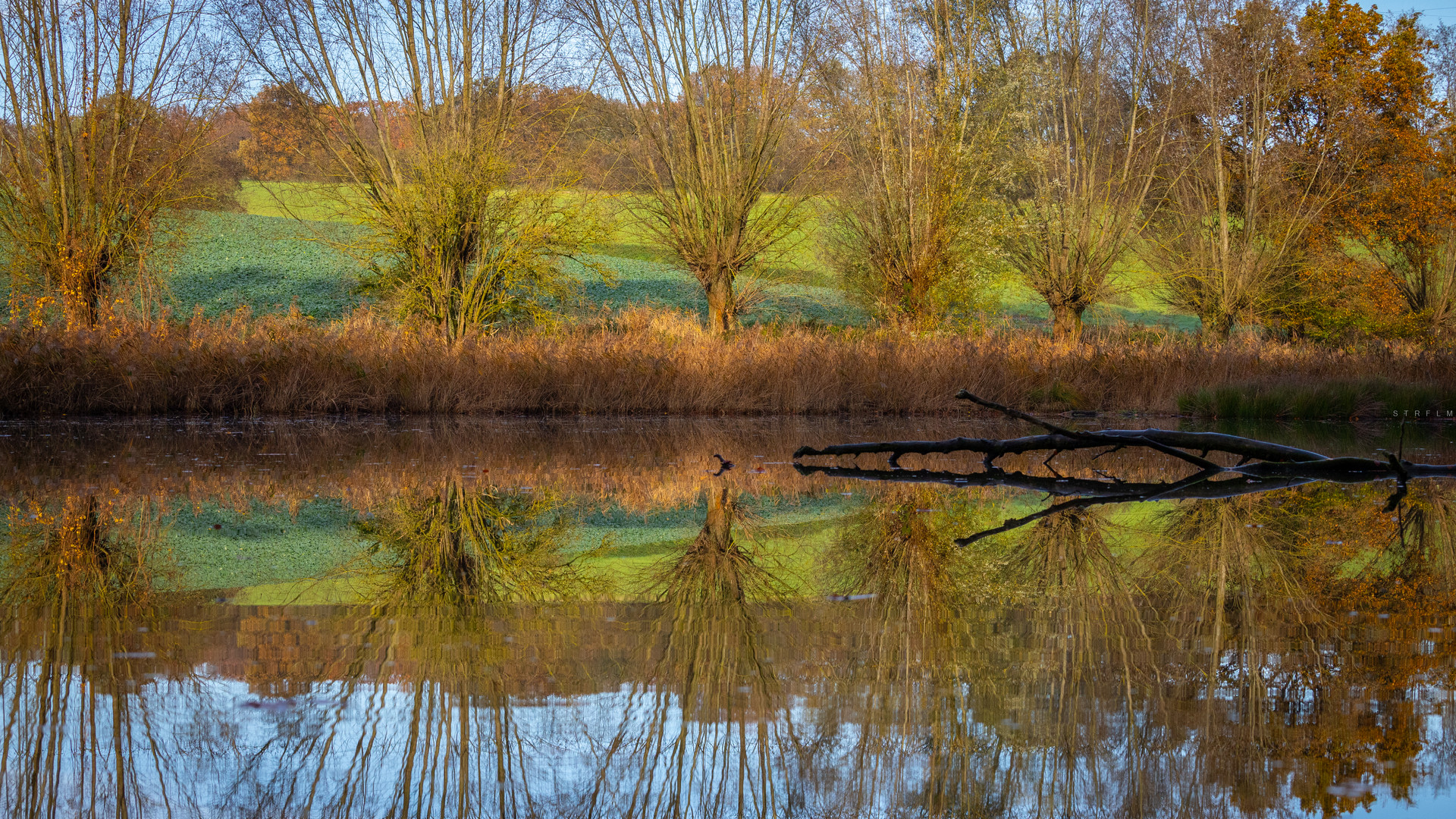 _wasser_spiegel_