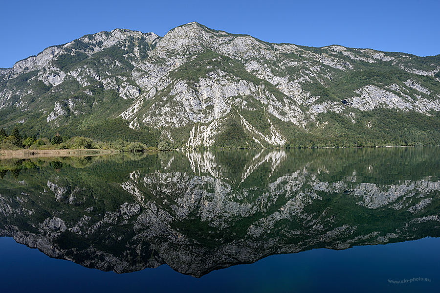 Wasserspiegel (Aufgenommen am Bohinjsko jezero in SLO)