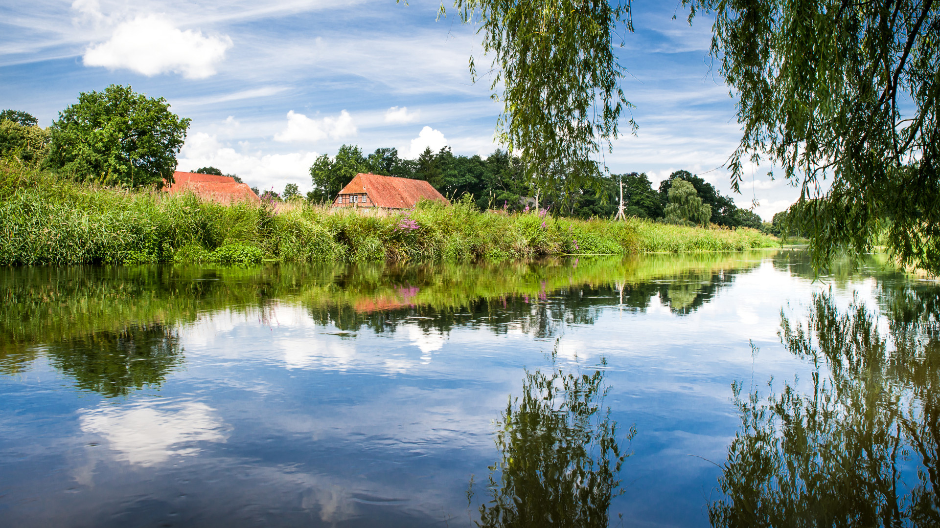 Wasserspiegel Ilmenau