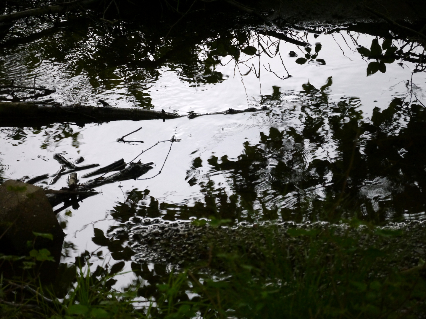 Wasserspiegel in der Dämmerung