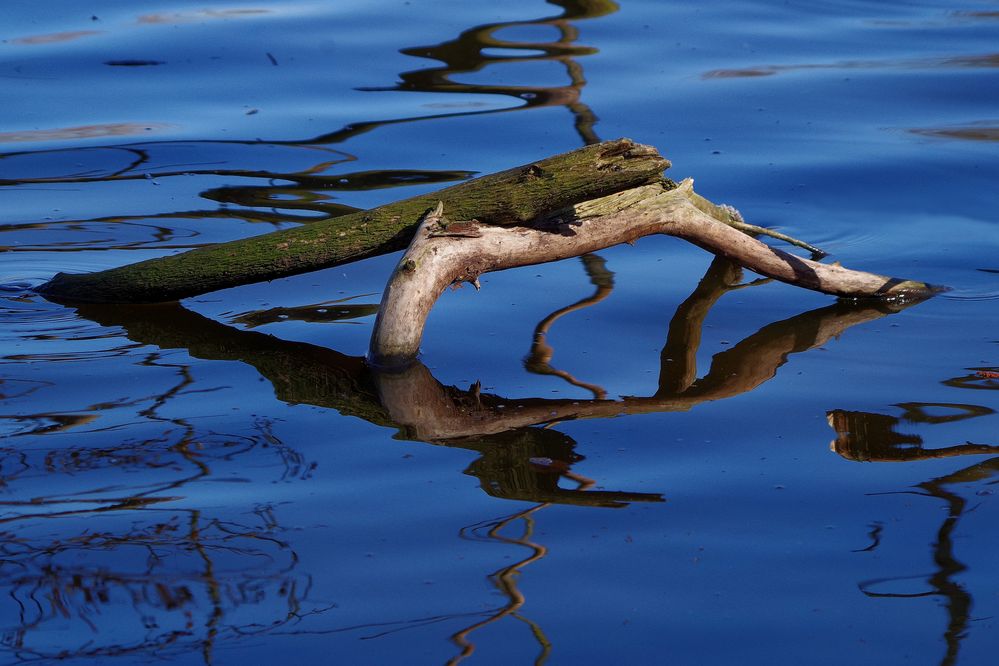 Wasserspiegelung