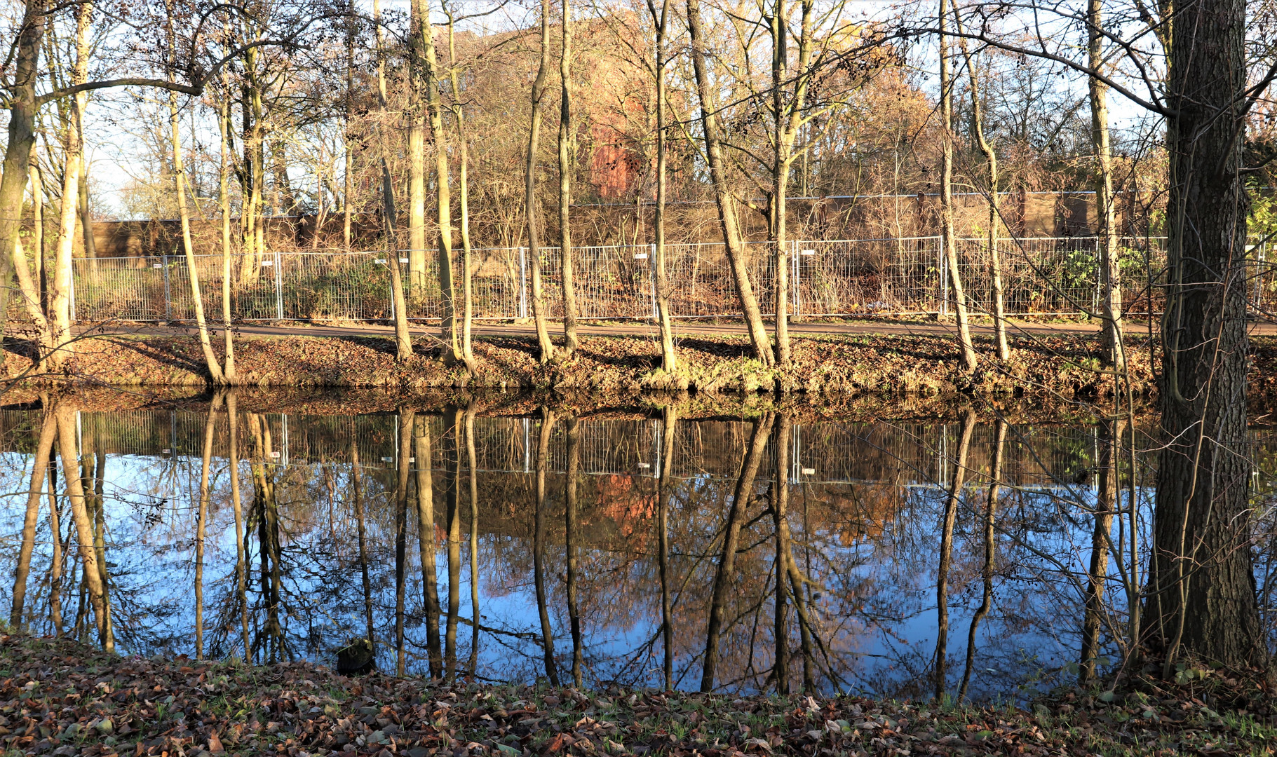 Wasserspiegelung