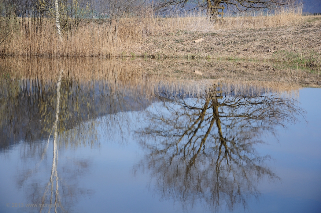 Wasserspiegelung