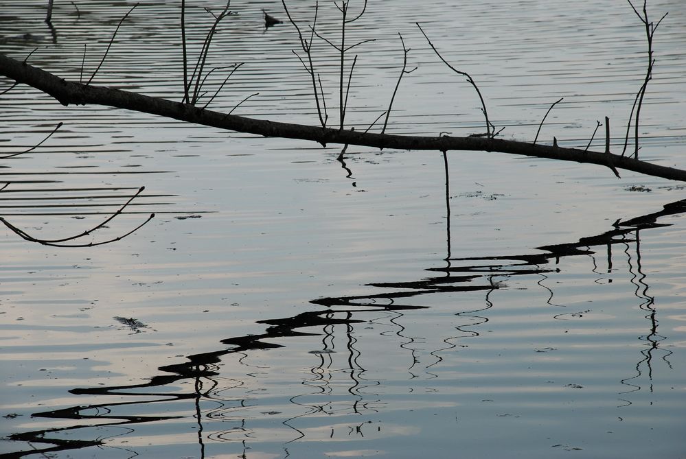 Wasserspiegelung