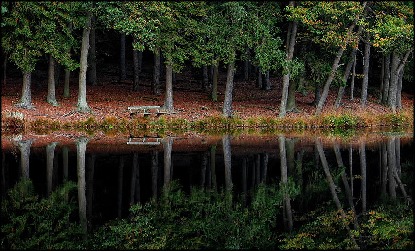 Wasserspiegelung