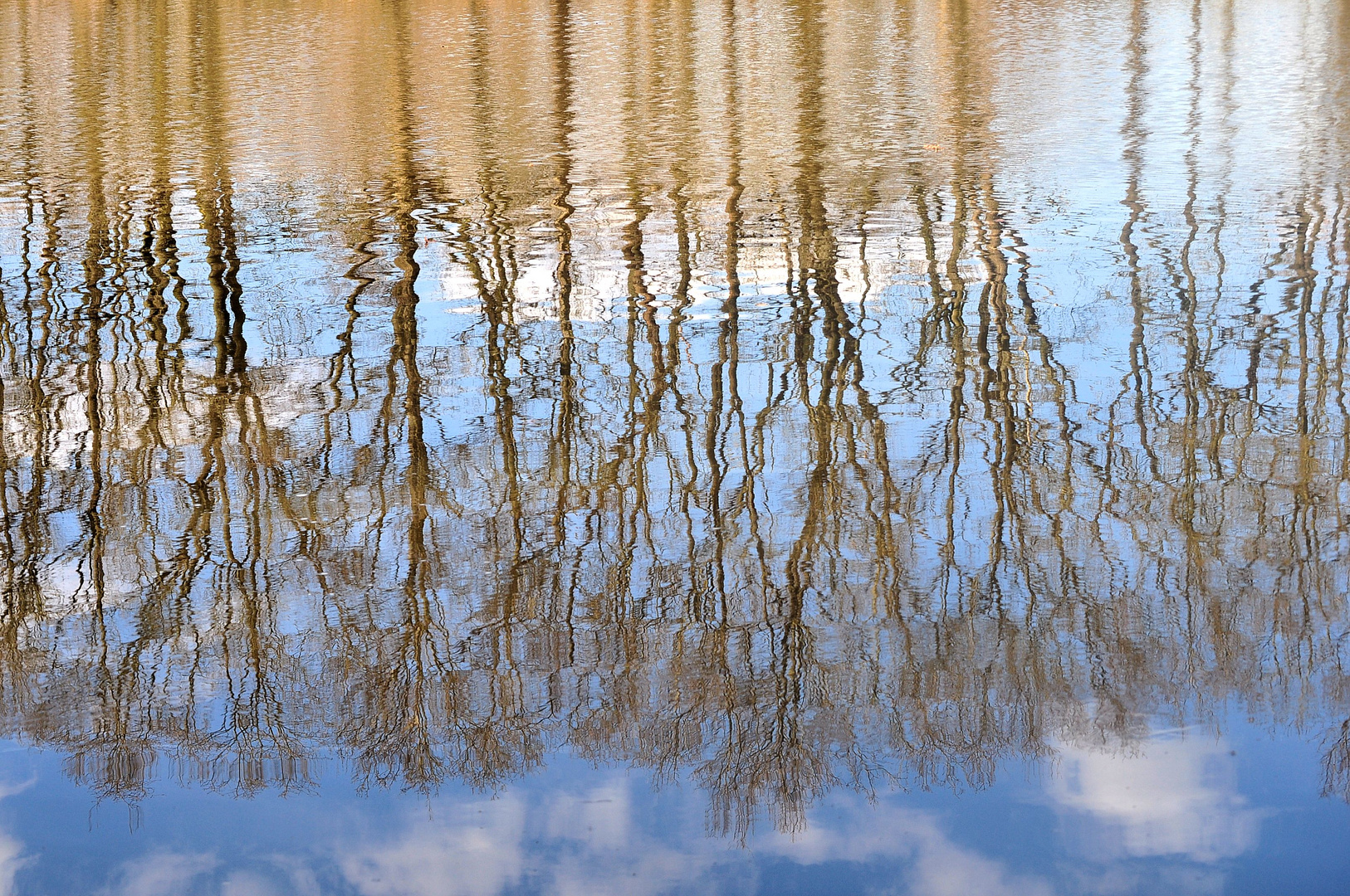 Wasserspiegelung