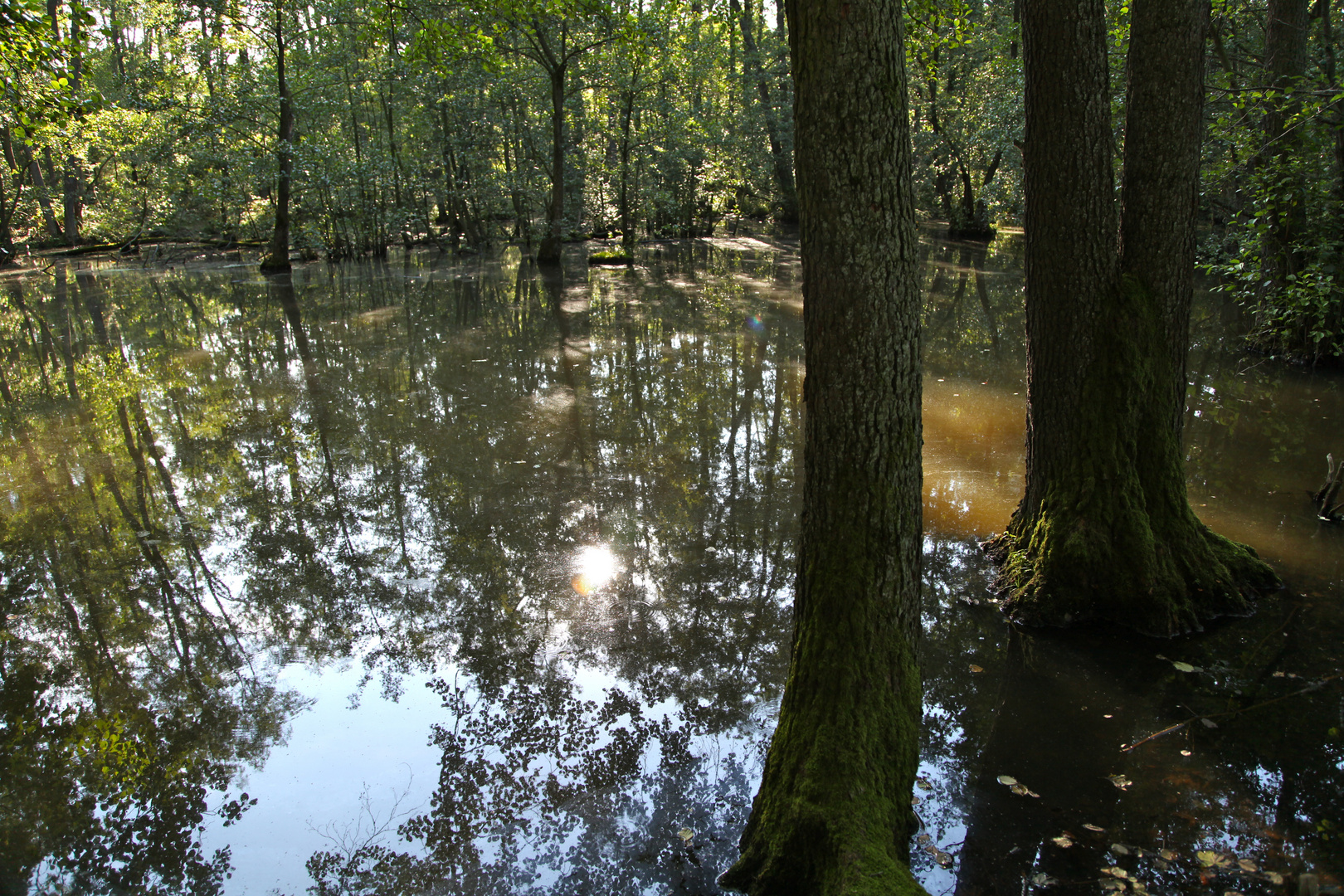 Wasserspiegelung