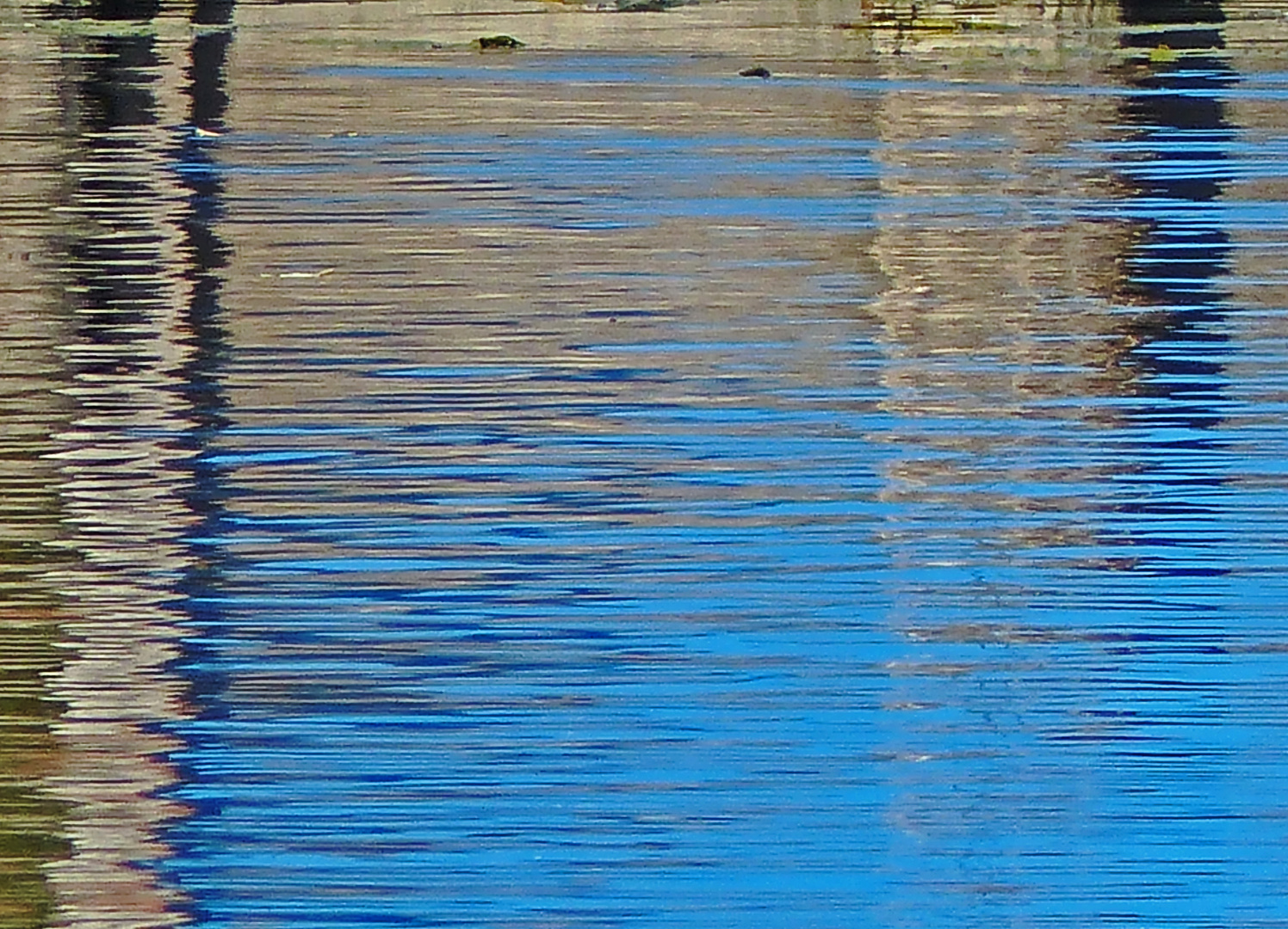 Wasserspiegelung Foto Bild Landschaft Bach Fluss See See Teich Tumpel Bilder Auf Fotocommunity