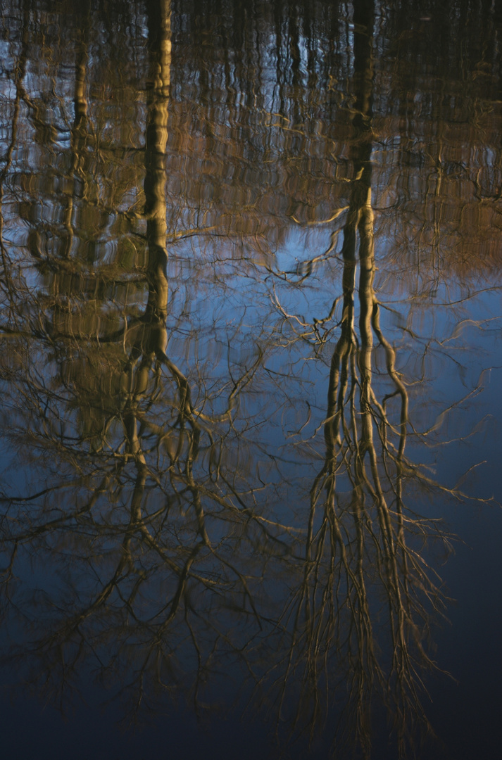 Wasserspiegelung