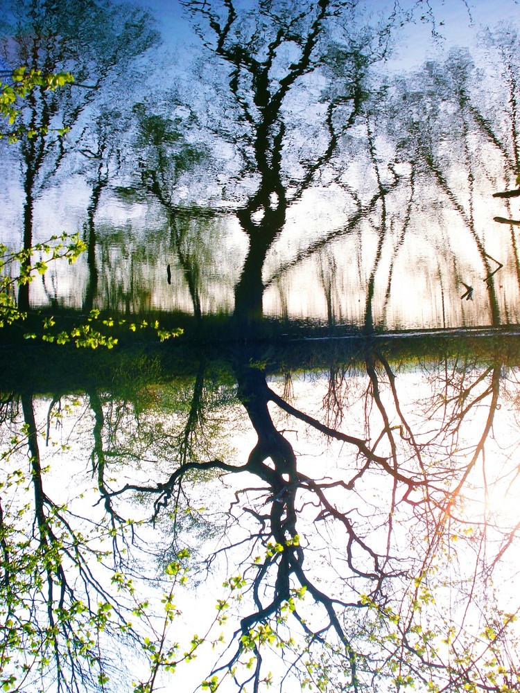 Wasserspiegelung