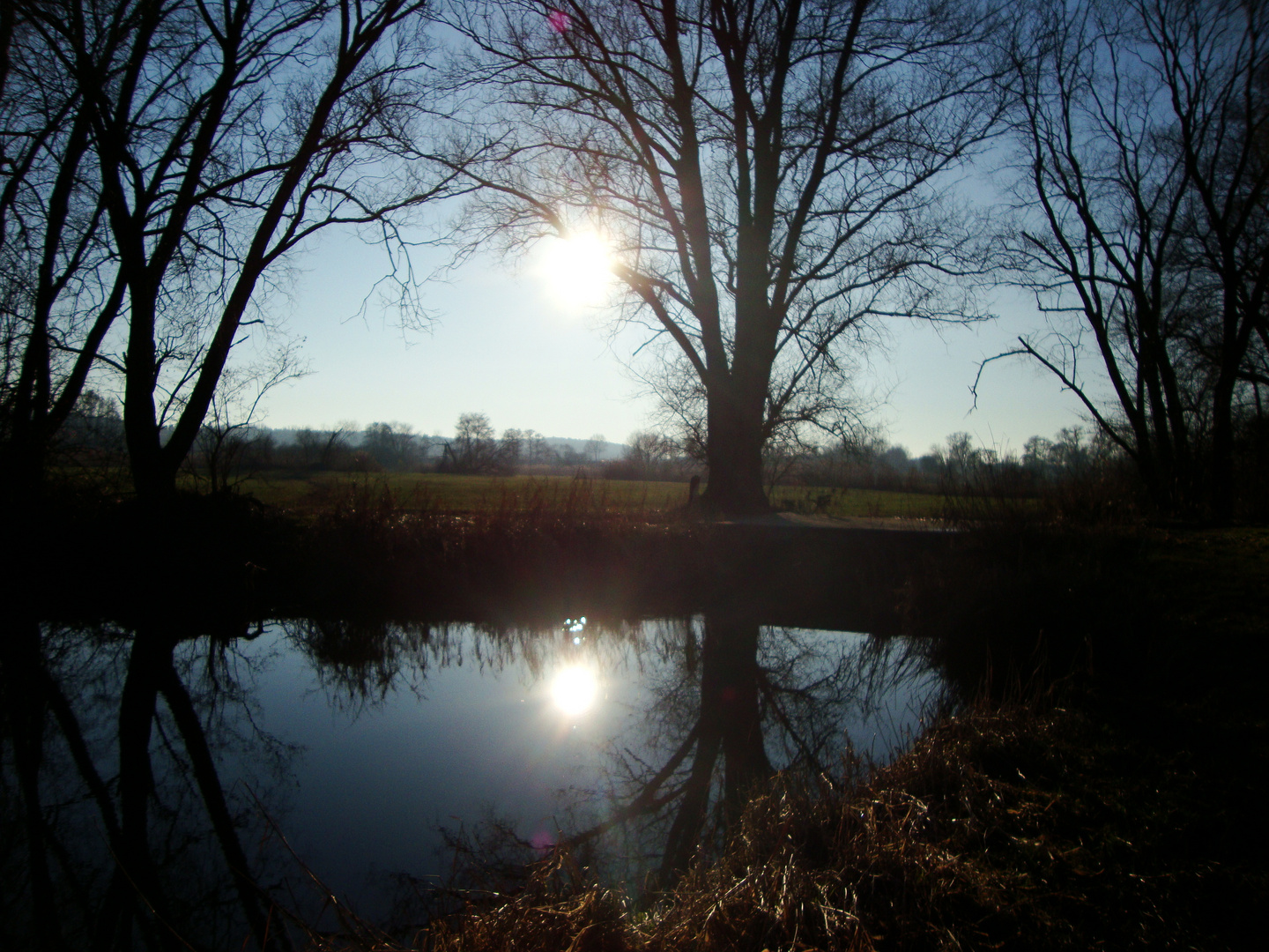 Wasserspiegelung