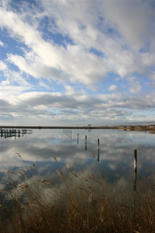 wasserspiegelung