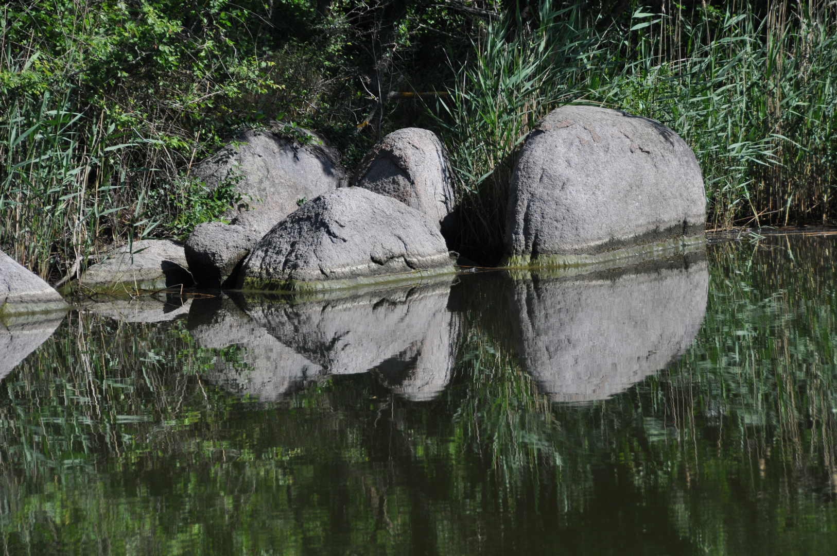 Wasserspiegelung