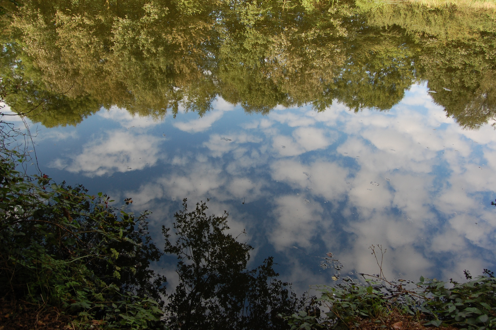 Wasserspiegelung