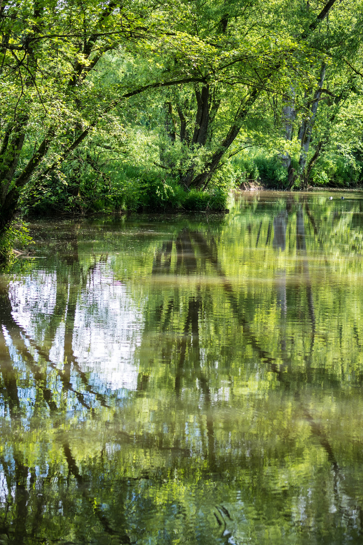 Wasserspiegelung