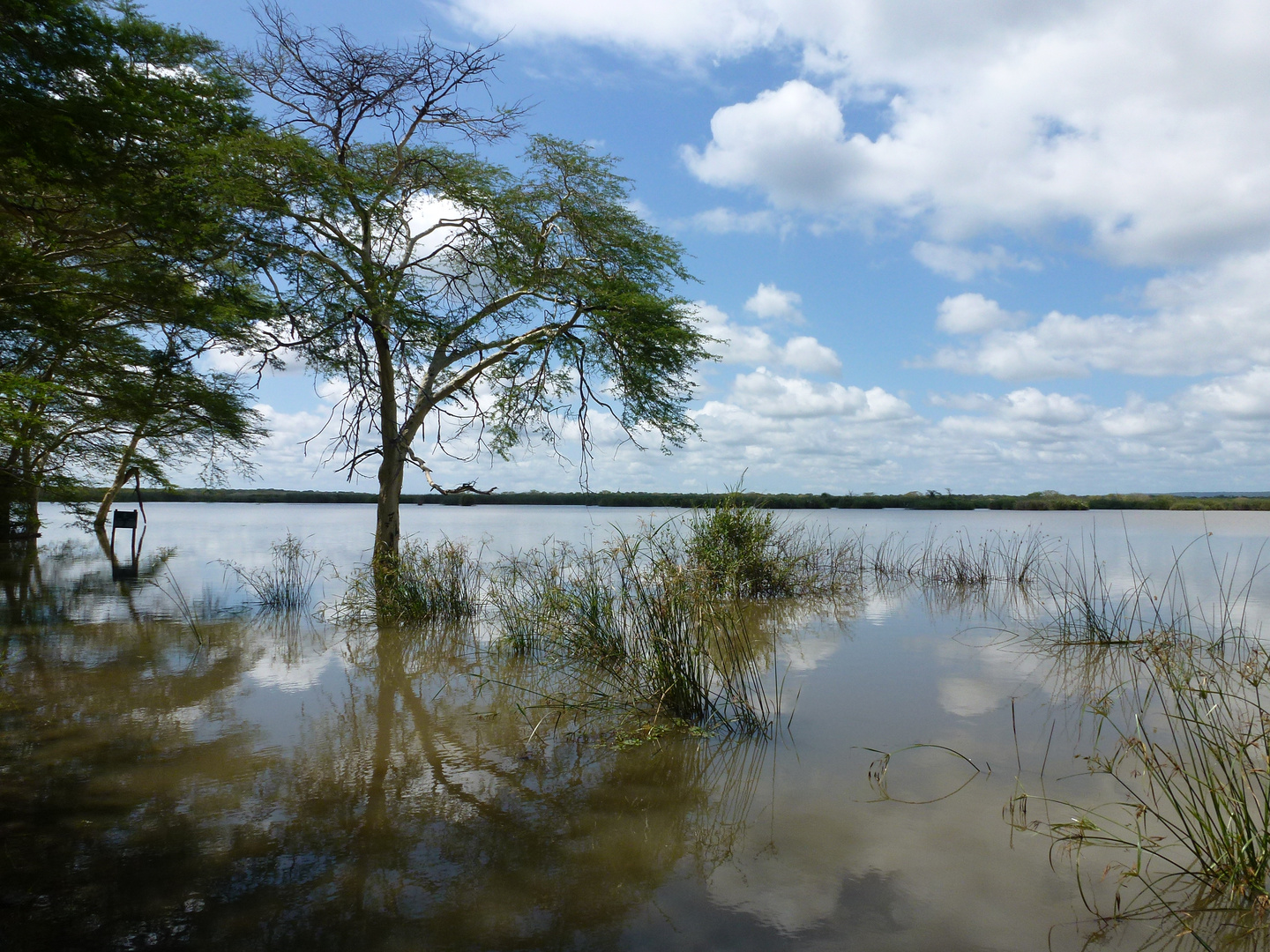 Wasser+Spiegelung