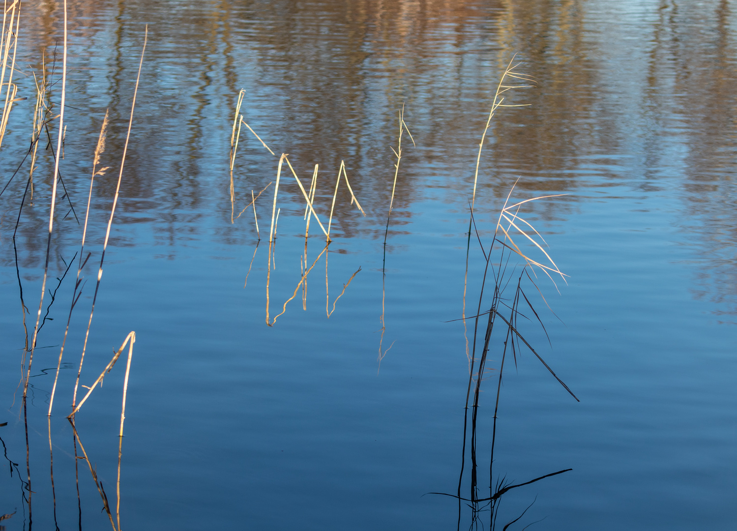 Wasserspiegelung Foto Bild Sonstiges Jahreszeiten Winter Bilder Auf Fotocommunity