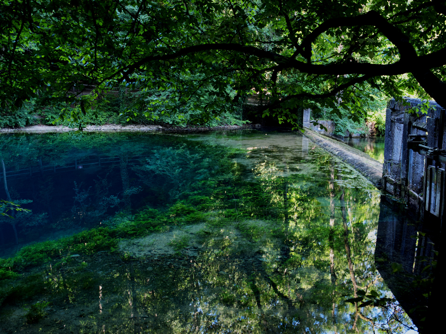 Wasserspiegelung am Blautopf