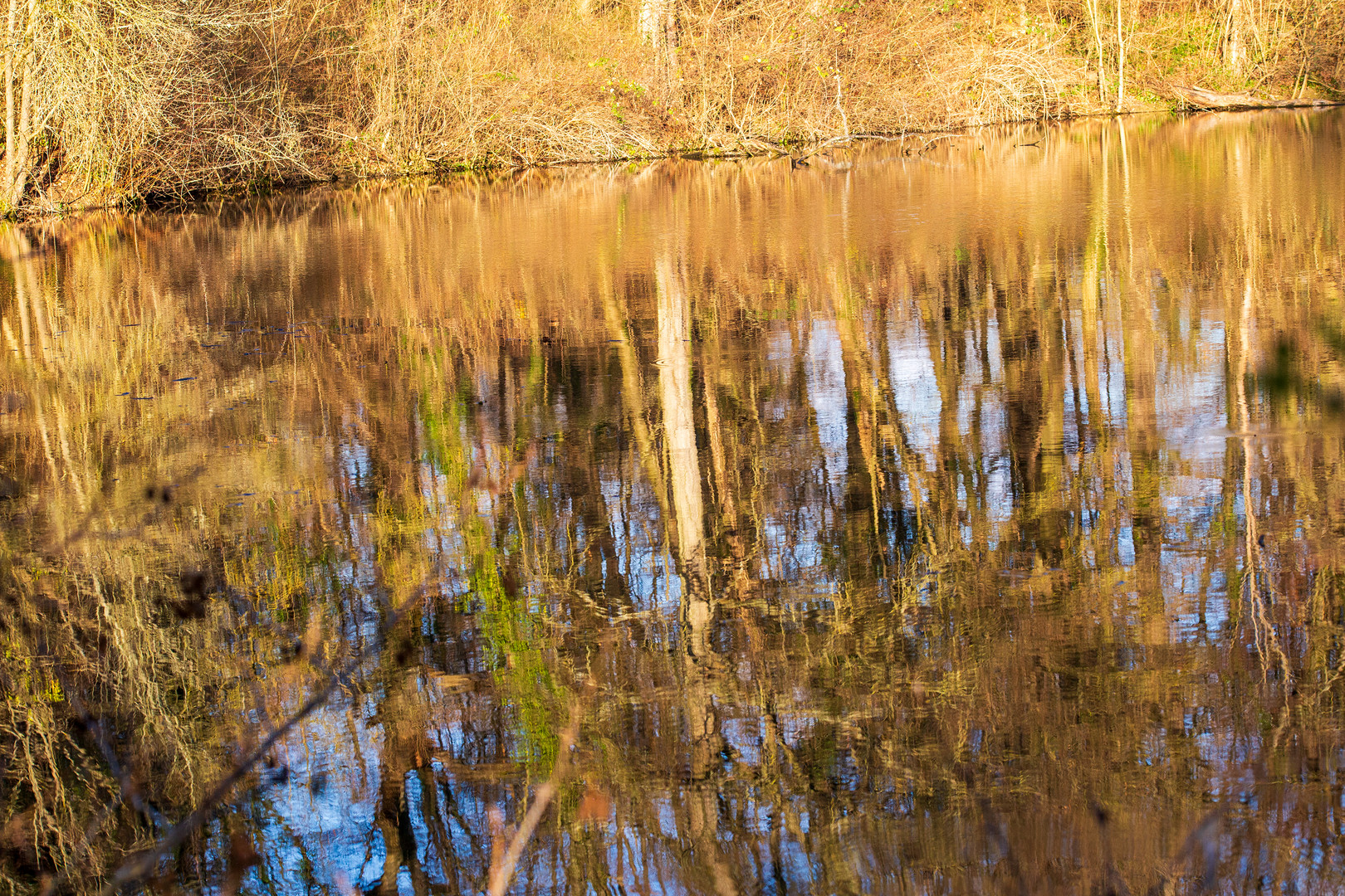 Wasserspiegelung am Heiligenbergsee