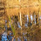 Wasserspiegelung am Heiligenbergsee