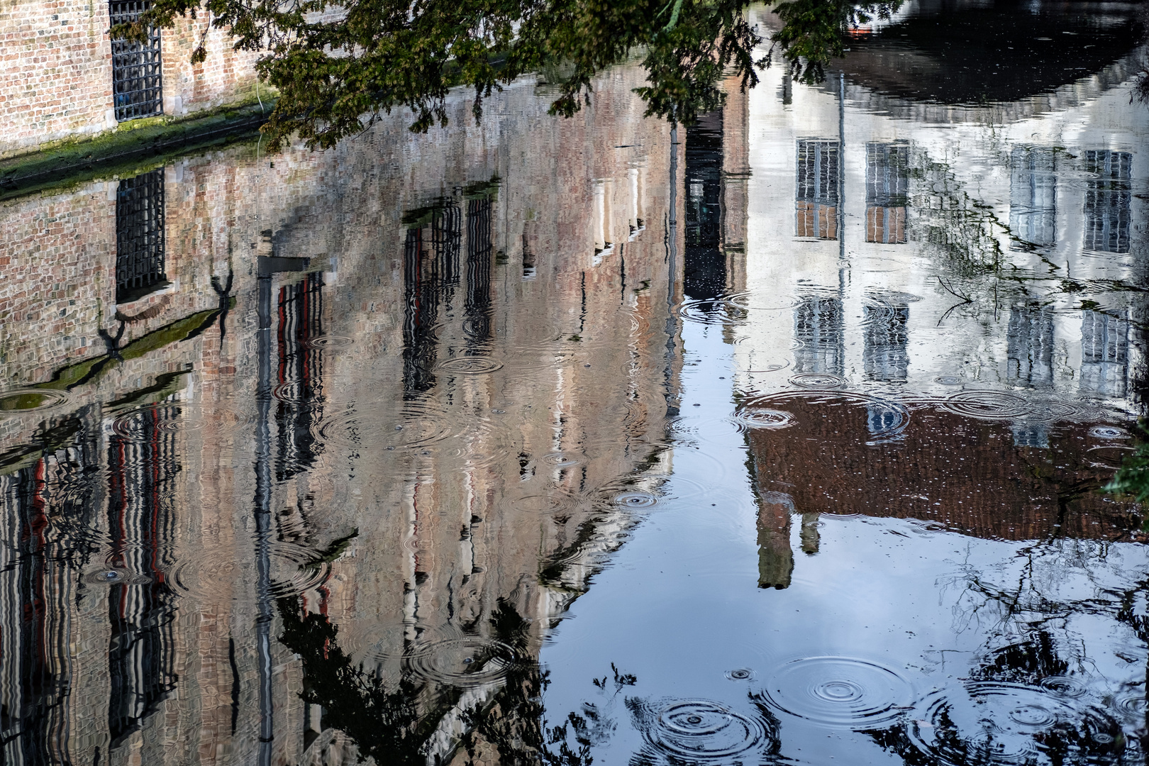 Wasserspiegelung am Morgen