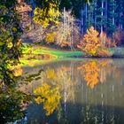 Wasserspiegelung am Rehnenmühlen-Stausee