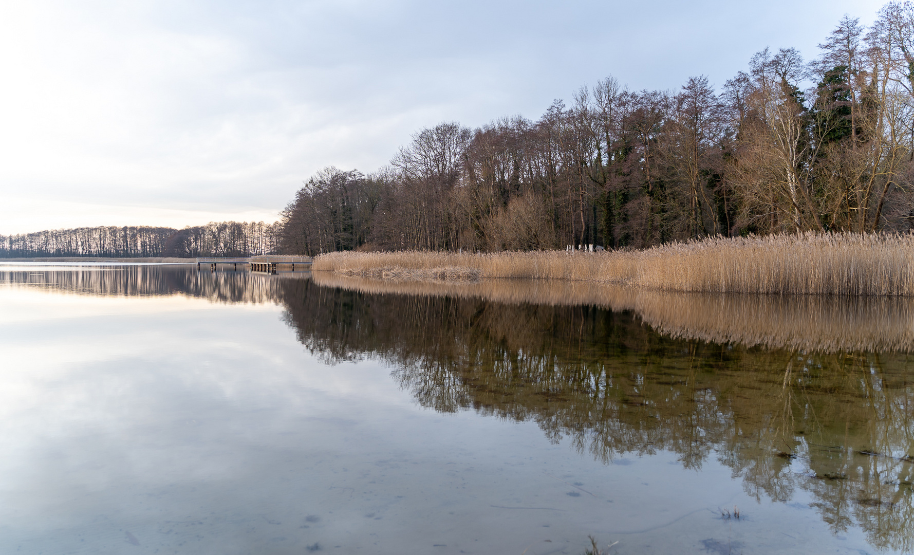 Wasserspiegelung am See (II)