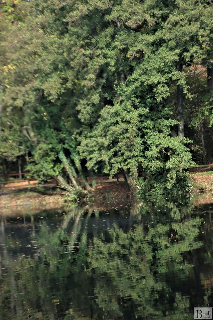 Wasserspiegelung an den Stadtteichen, Bottrop