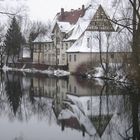 Wasserspiegelung an der Brenz