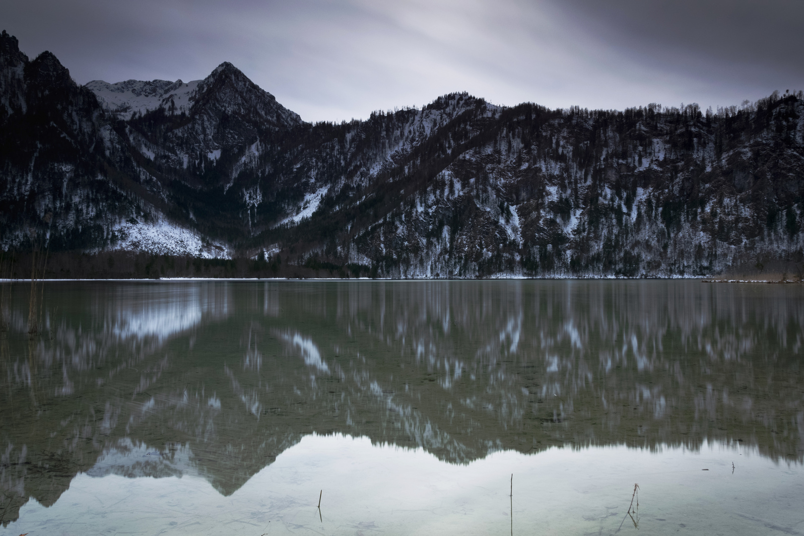 Wasserspiegelung an einem grauen Tag 