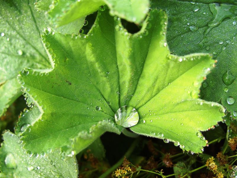 Wasserspiegelung auf 0,25cm