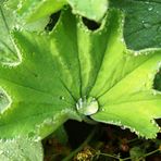 Wasserspiegelung auf 0,25cm